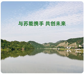 立足中國(guó)服務全球